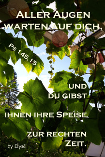 Wochenspruch